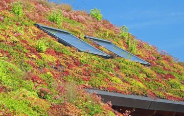 Langton living roof systems
